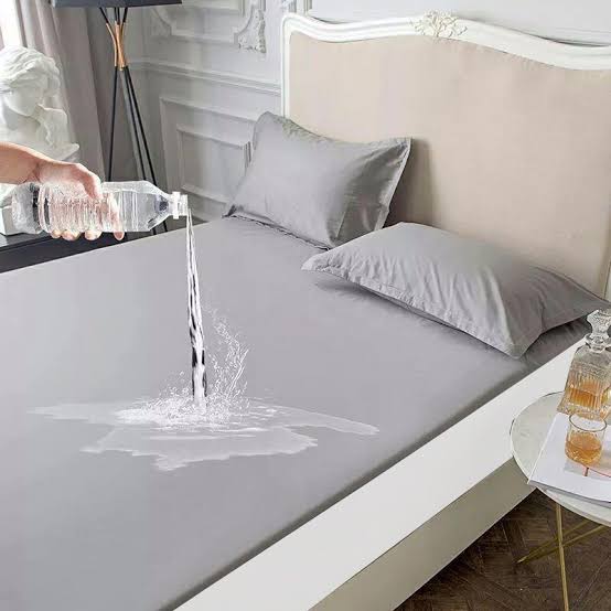 Terry WaterProof Mattress Protector